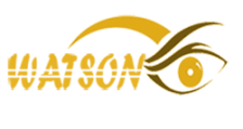 Watson's Investigations